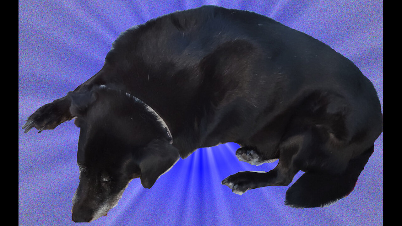 PostAfterThoughts LIVE 2025-07-18