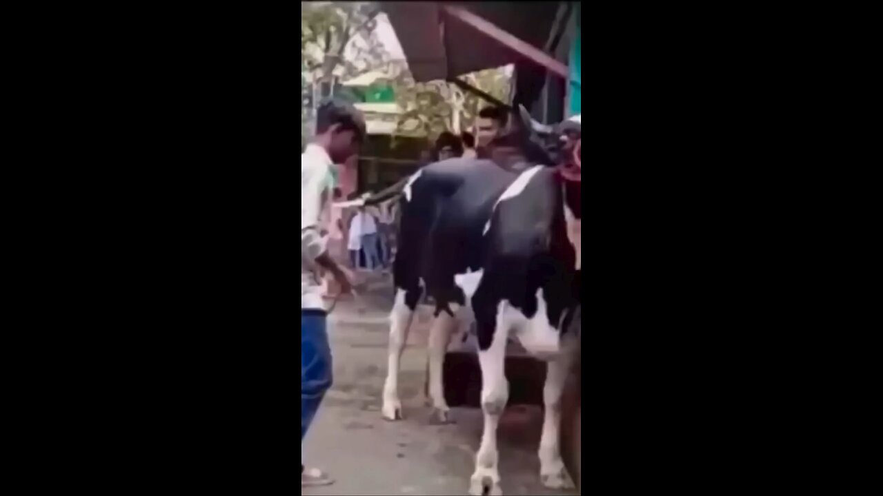 Funny video 😁😂