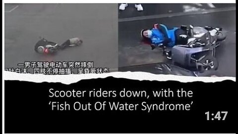 "Scooter Riders Experience 'Fish Out of Water Syndrome' in Separate Incidents"