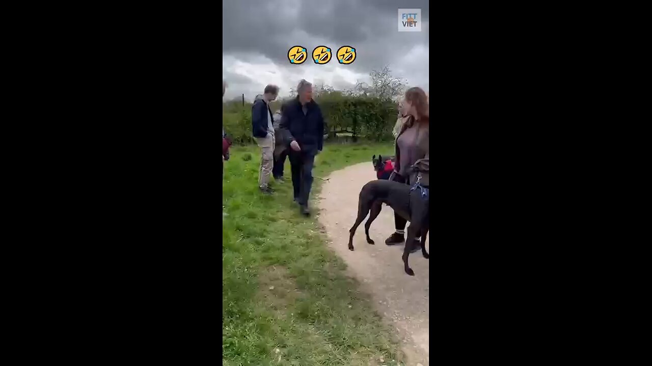 please like and support🥰