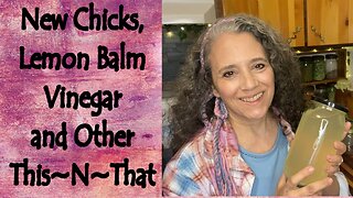 Lemon Balm Vinegar, New Chicks, and Other This~N~That