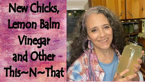 Lemon Balm Vinegar, New Chicks, and Other This~N~That