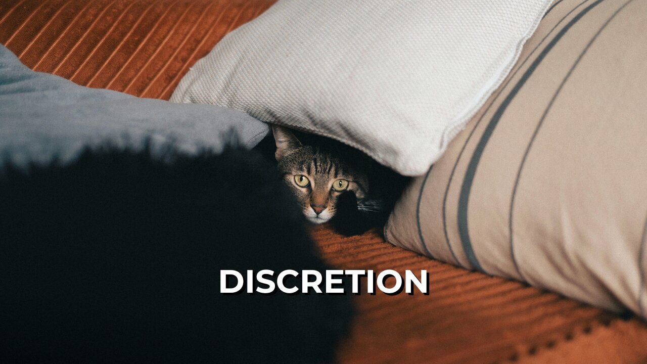 LOG#126 – Discretion