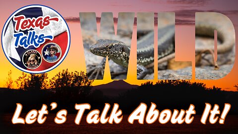 Texas Talks - Wilding Out - July 1, 2025