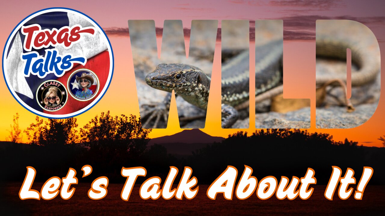 Texas Talks - Wilding Out - July 1, 2025