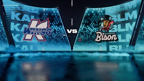 Bloomington vs K-Zoo
