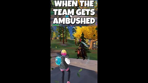 When the Team gets Ambushed!!!
