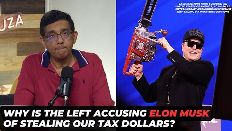 Why Are Many Democrats Accusing Elon Musk Of Stealing Our Tax Bucks?