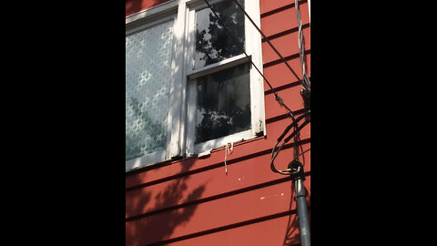 Outside: Rotten windowsill and sheathing