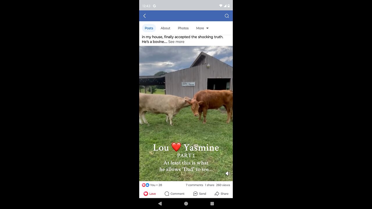 LouMoo and Yasmine's Romance and Sanctuary