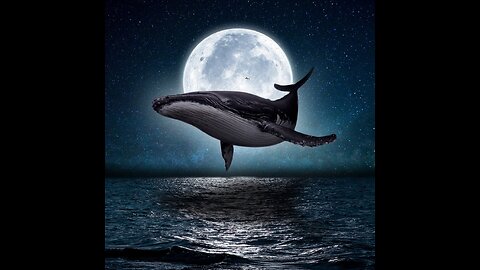 The Ocean’s Secret Keepers Whales, Dolphins & Ancient Knowledge