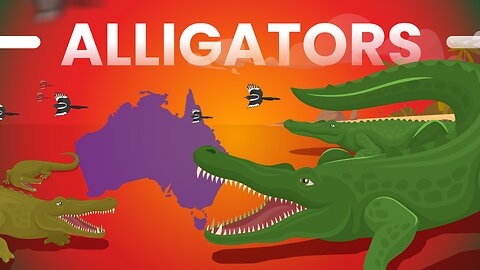 ALLIGATORS ! Is Australia Really That Dangerous?