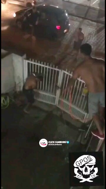 Pit Bull ataca o dono e é morto por vizinhos