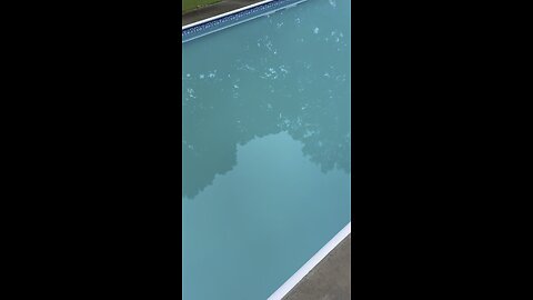 Salt Water pool @ 2000 vs Salt Water pool @ 3000 (green to clear in one day) 👍🏻