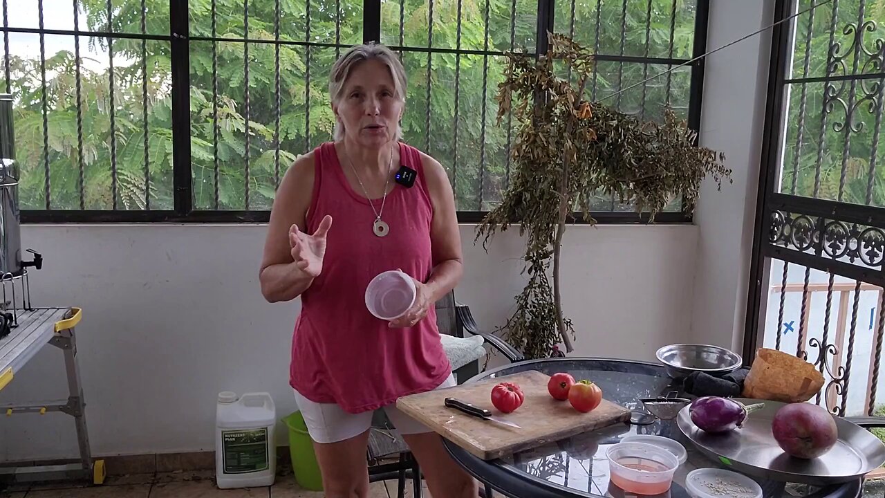How to Save Tomato Seeds
