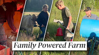 How We Manage a 16-Person Homestead Without Burning Out