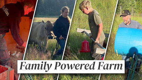 How We Manage a 16-Person Homestead Without Burning Out