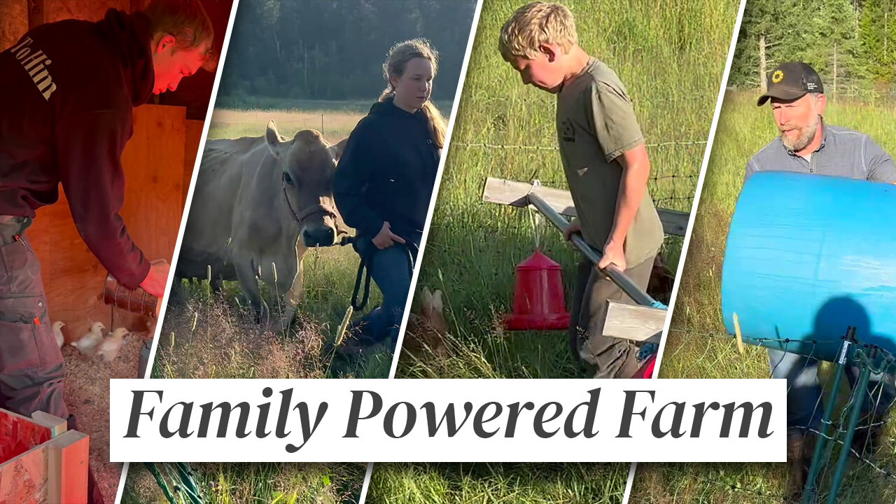 How We Manage a 16-Person Homestead Without Burning Out