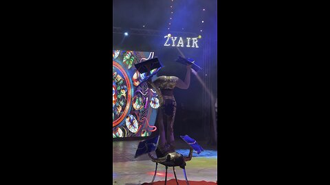 Amazing Acrobatics duo
