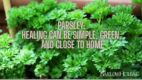 The Health Benefits of Parsley