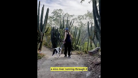 Day hike, MiraFlores Mexico B.C.S.