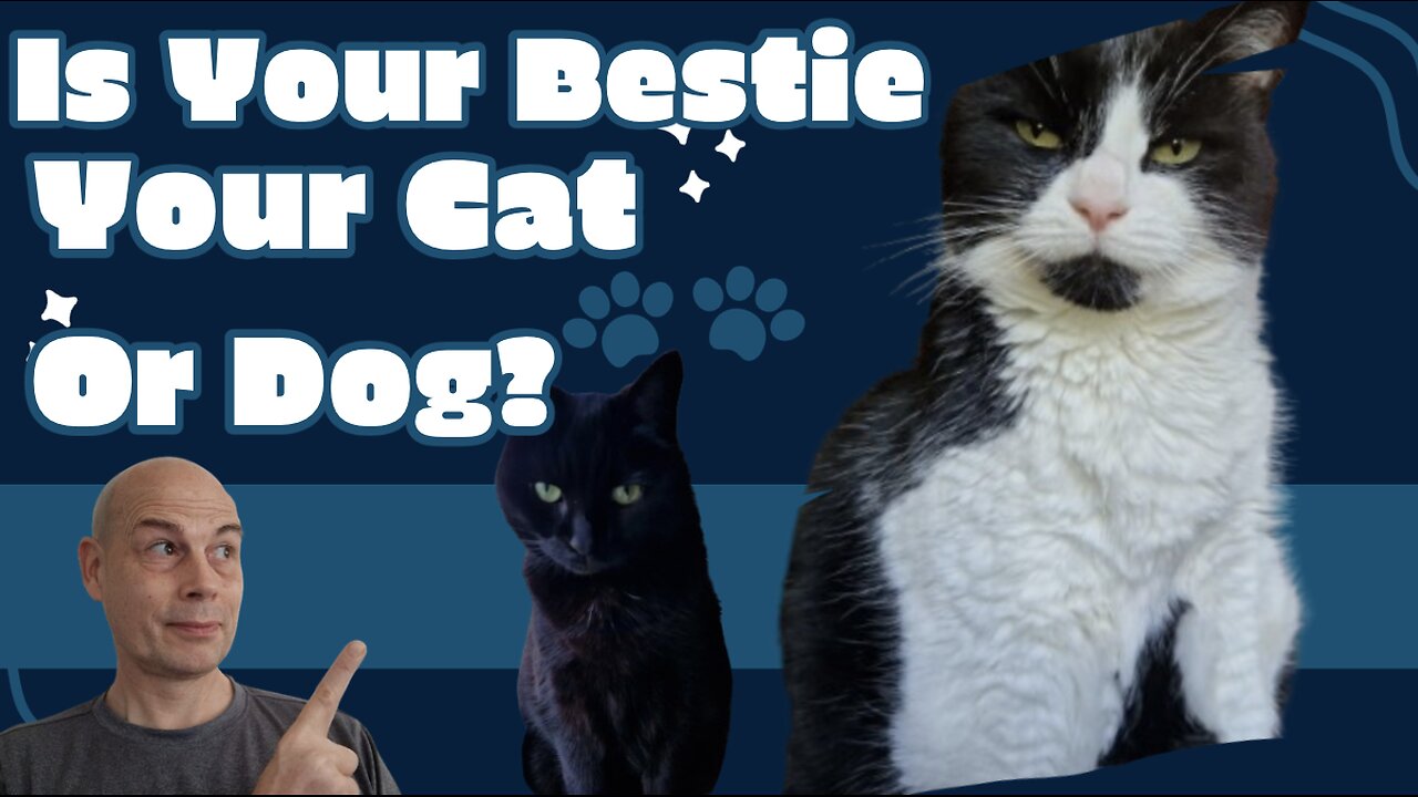 Is Your Best Friend A Cat Or A Dog?