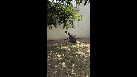 FOR MORE VIDEOS SUBSCRIBE MY CHANNEL
