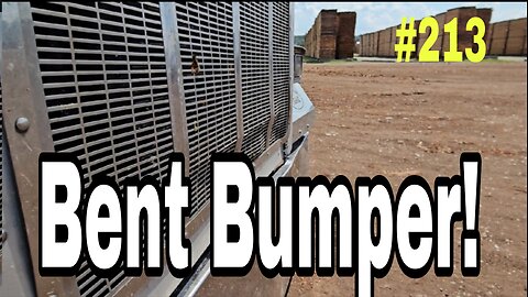 I Hit A Huge Buck Deer With My Peterbilt ‼️
