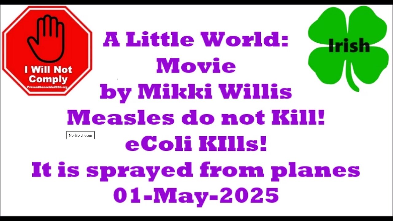 A Little World Mikki Willis 01-May-2025