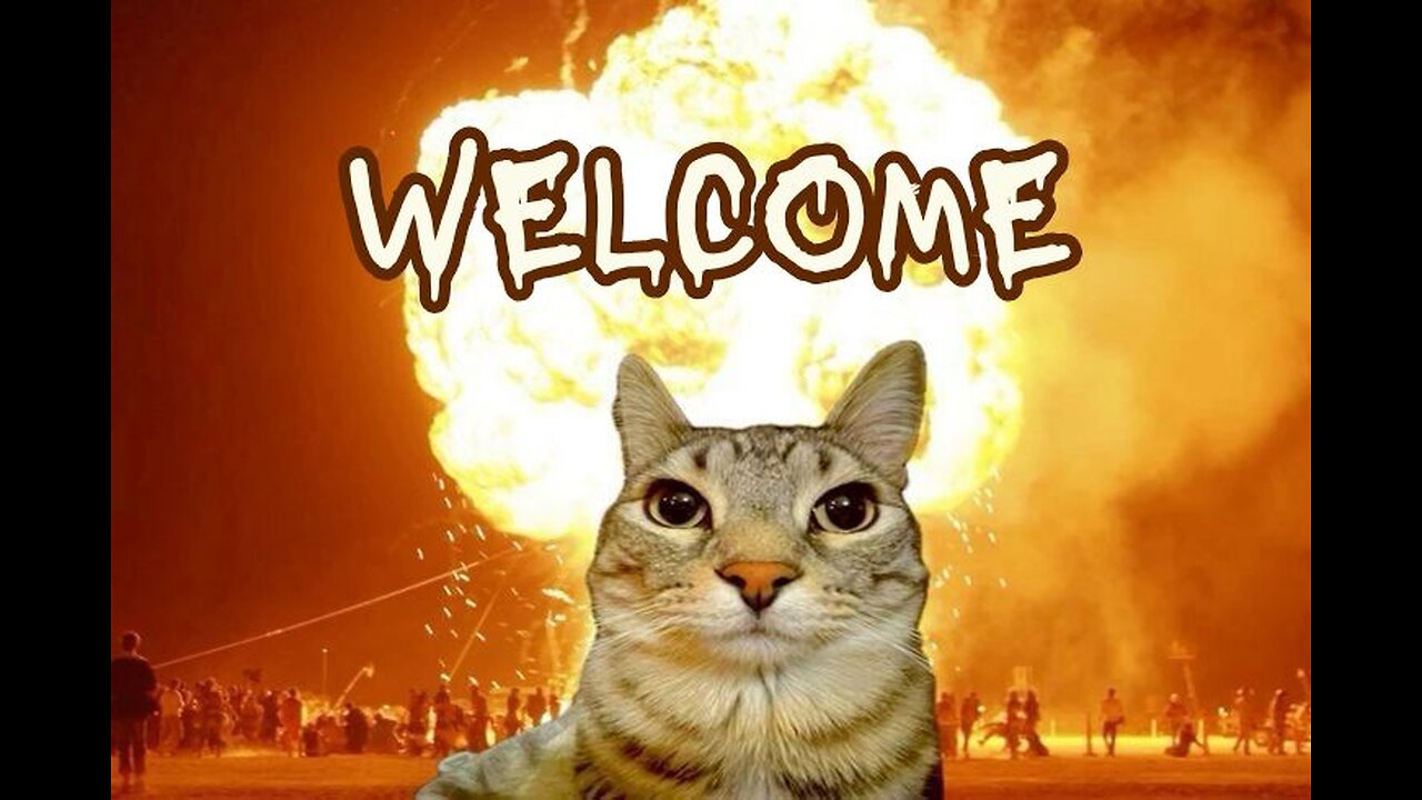 The Best Cat Videos Ever!!