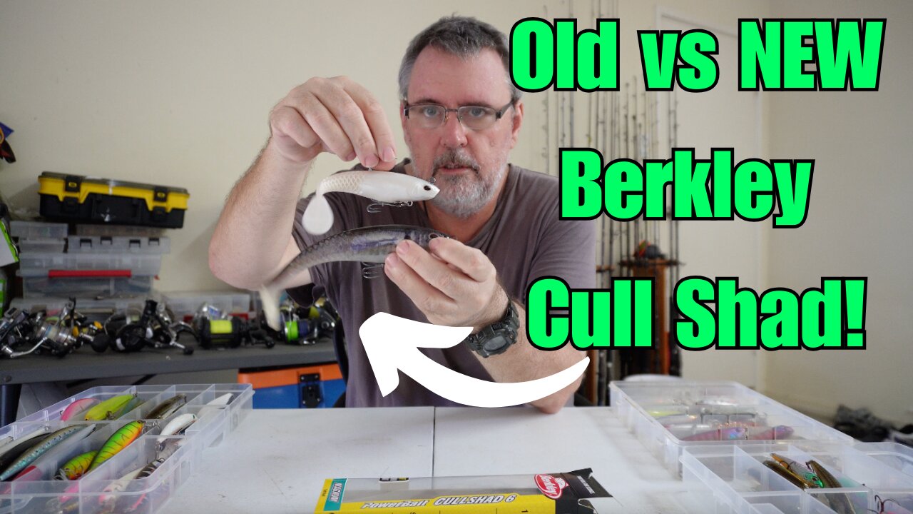 NEW Berkley Cull Shad! Game-Changing Lure for Rivers, Beaches & Reefs!