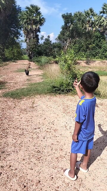 Well Best SokYaa, OG, Pao & Mom Are Famous Around The World #shorts #anime #trend #edit