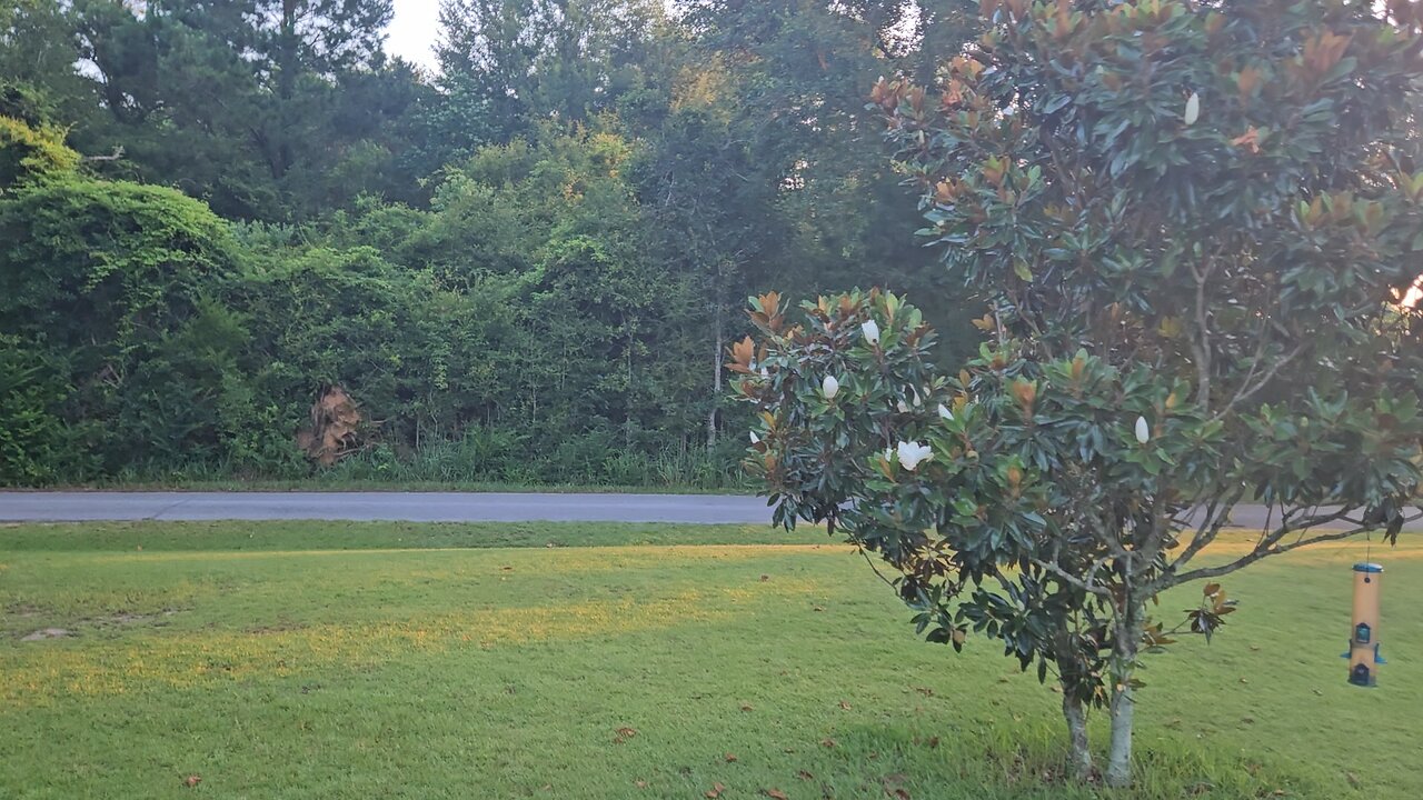 Porch Report 080725