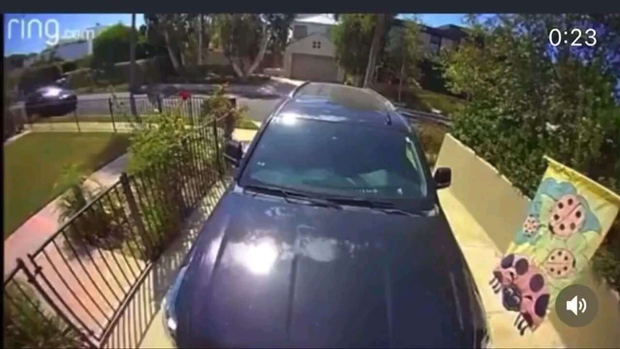 What Would You Call This