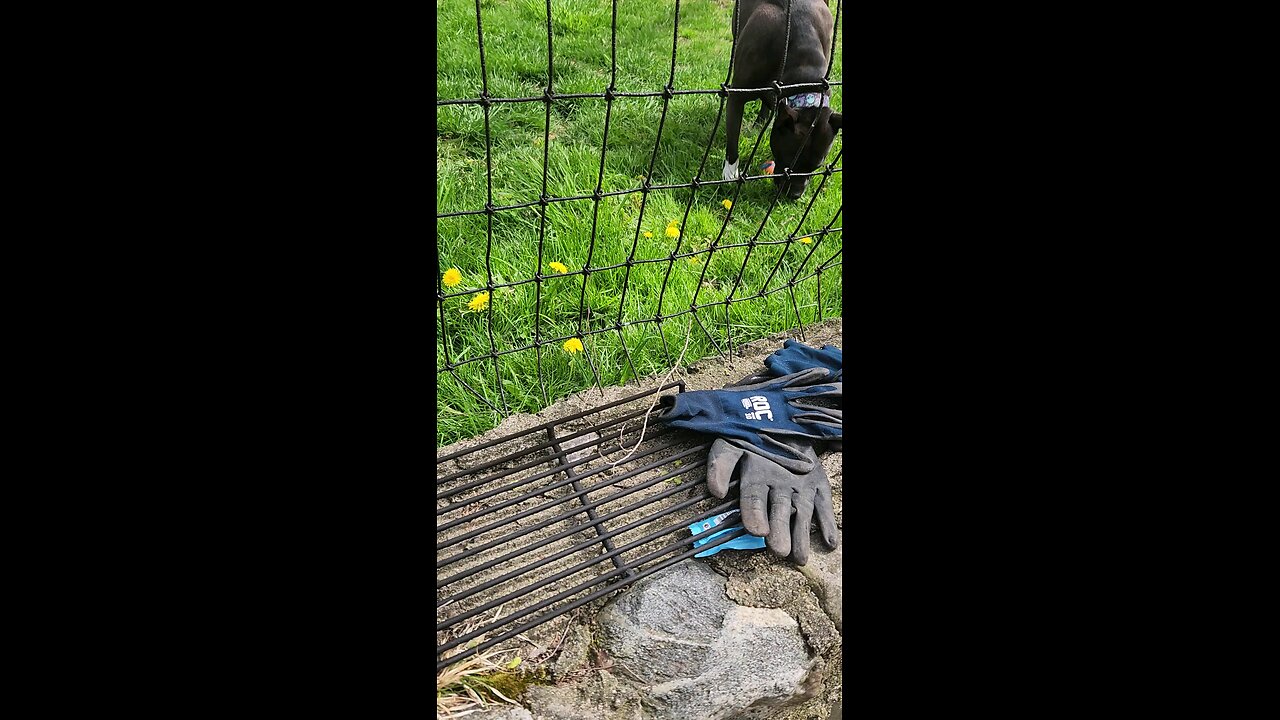 On The Hunt