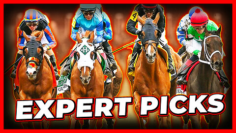 Preakness Stakes 2025 Expert Picks (COMPILATION)