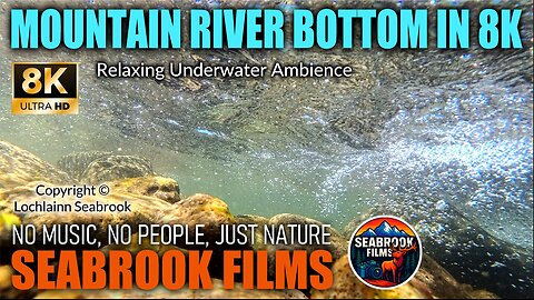 Mountain River Bottom in 8K: Relaxing Underwater Ambience