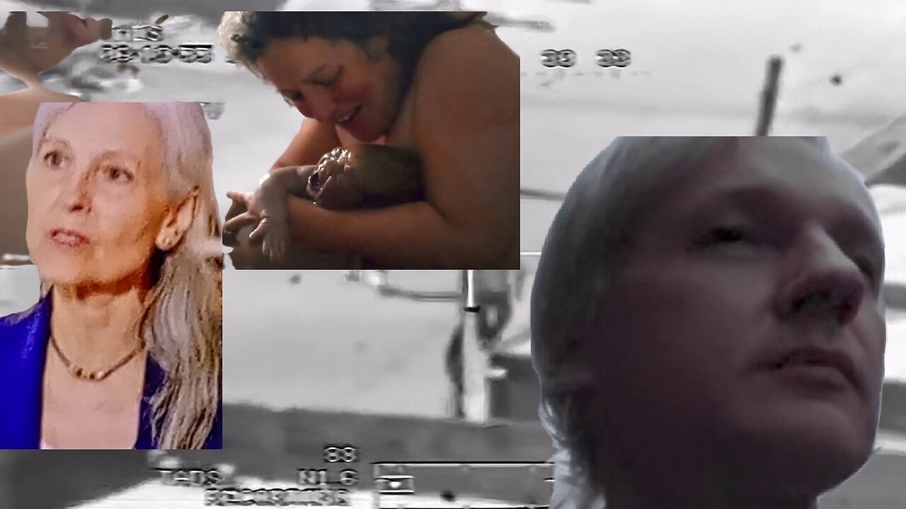 #review, #TheTrustFall, #JulianAssange, 2024 , #jewish,