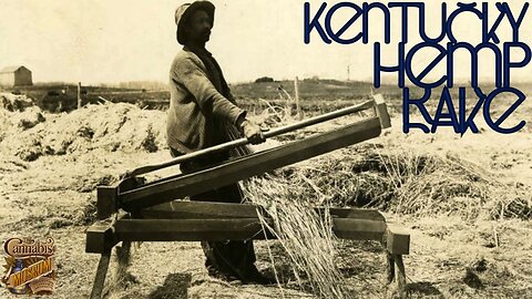 Cannabis Museum: Kentucky Hemp Rake