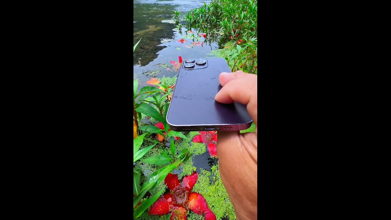 satisfaction video of iphone underwater camera test