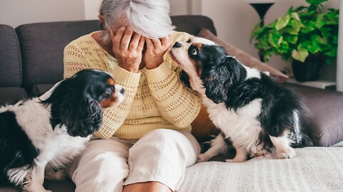Dogs Can’t Stop Loving Grandparents 🐶💖 | Try Not To Cry 😢