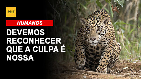 Devemos reconhecer que a culpa é nossa