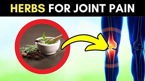 Best 10 Herbs for Joint Discomfort | HR01