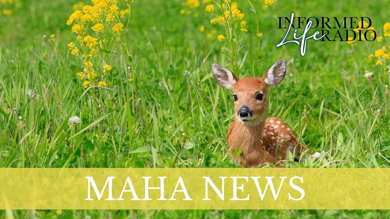 Informed Life Radio 07-25-25 MAHA News