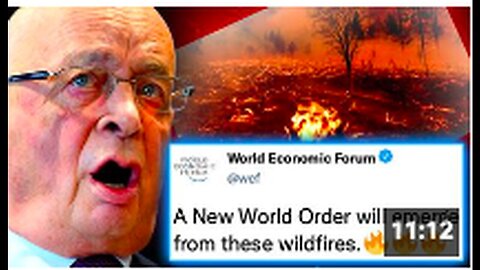 "WEF Accused of Funding Arsonists for Alleged Global Depopulation Scheme"