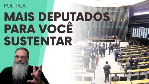 STF exige RECONTAGEM de DEPUTADOS e CÂMARA quer AUMENTAR o NÚMERO de DEPUTADOS para 531 em 2026