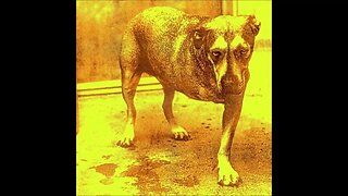 Heaven Beside You ~ Alice In Chains