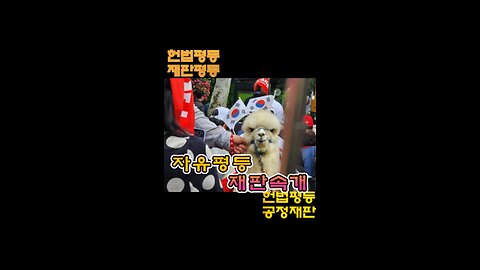 궁금해, 즐거운 전국 행진축제,용기있는 당신을 초대 합니다.MD-16 오늘도 안녕 하시나요? 선각자는 되지못해도 비겁자는 되지 마세요/Are you doing well today?