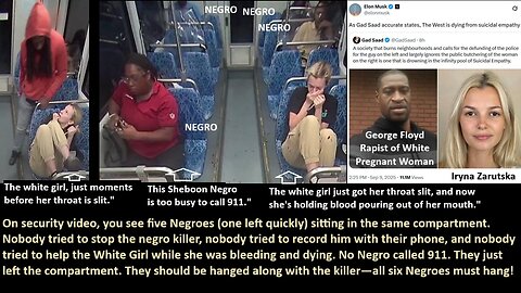 The moment a White Girl, Iryna Zarutska, had her throat slit by a Negro, five other Negroes were sitting in the same train compartment. Nobody tried to stop the killer, nobody tried to help the Girl while she was bleeding, dying. No Negro called 911.