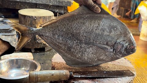 Amazing Fish cutting skill 11 | you must watch
